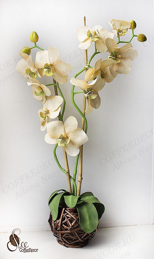 Цветы из фоамирана орхидея