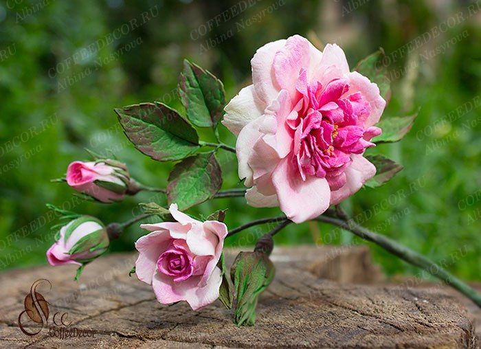 Садовая роза из фоамиран