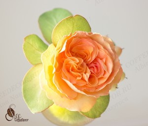 Пионовидная роза из фоамирана