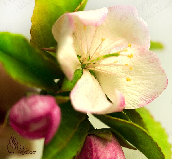 Цветок яблони из фоамирана