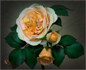 мастер-класс пионовидная роза из зефирного фоамирана