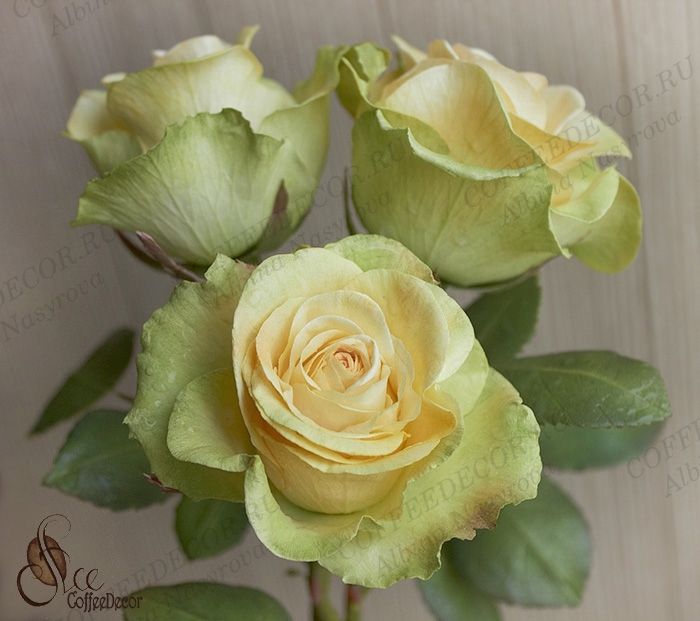 мастер-класс Роза с фактурными лепестками Peach Avalanche Зефирный шелковый фоамирана цветы из фоамирана
