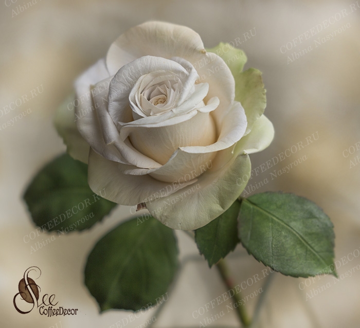 Розы из шелкового фоамирана с фактурными лепестками - CoffeeDecor.ru