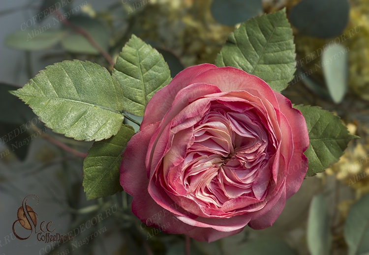Пионовидная роза или роза Дэвида Остина (остинка) из зефирного фоамирана